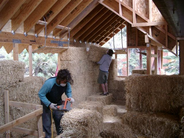 students building house
